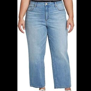 Ava & Viv Plus Hi Rise Jeans 24W Straight